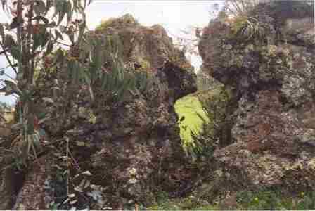 Rocks with greenery